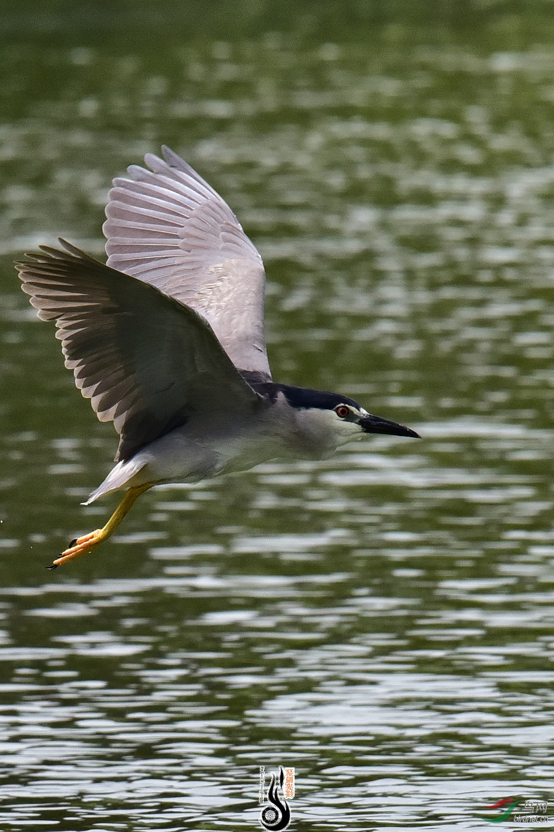 DSC_7860.JPG