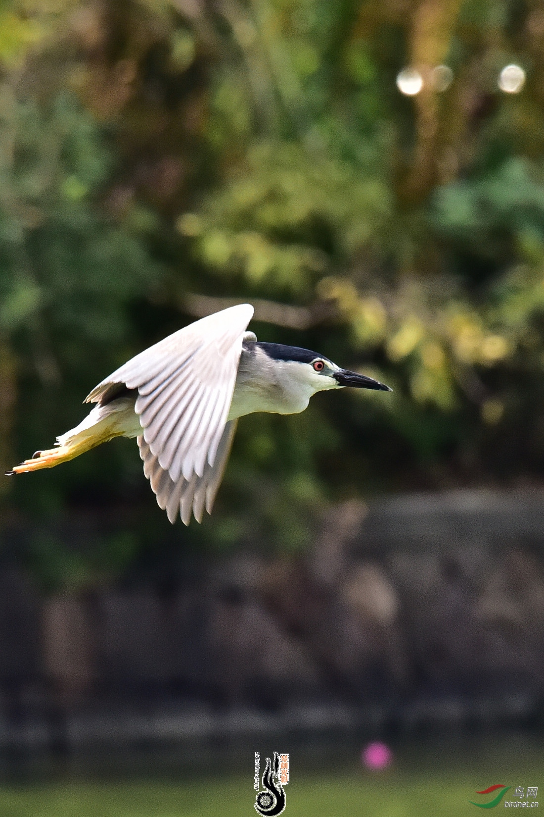 DSC_7865.JPG
