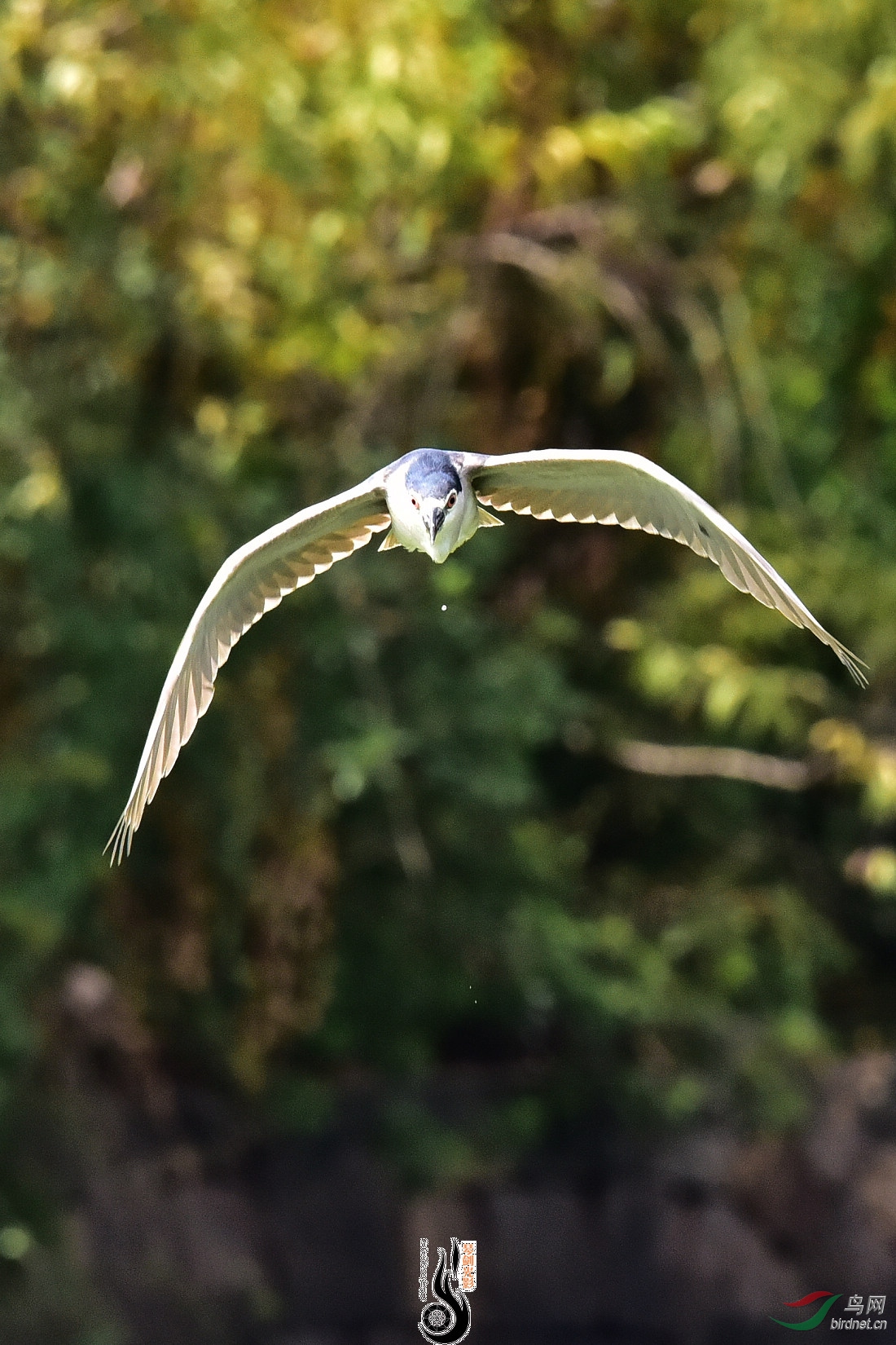 DSC_7870.JPG
