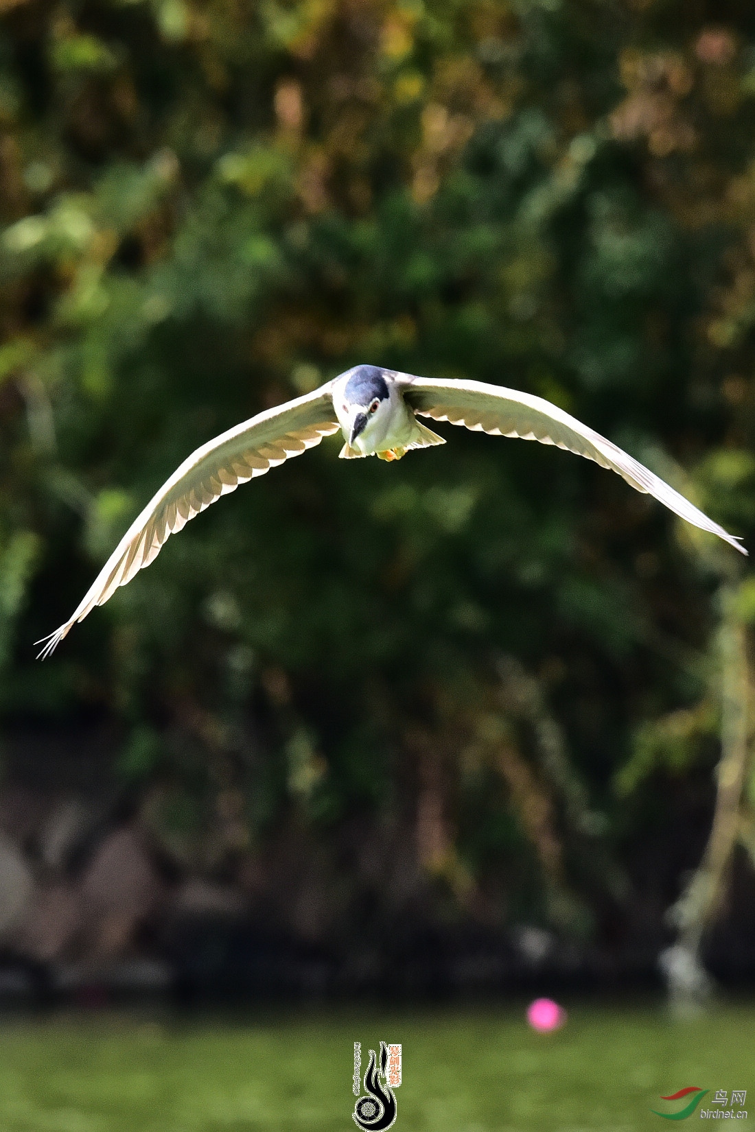 DSC_7871.JPG