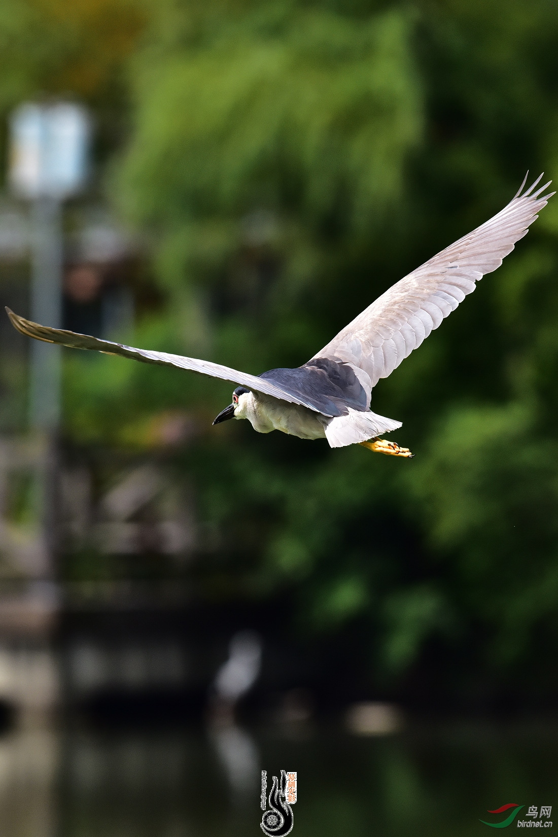 DSC_7876.JPG