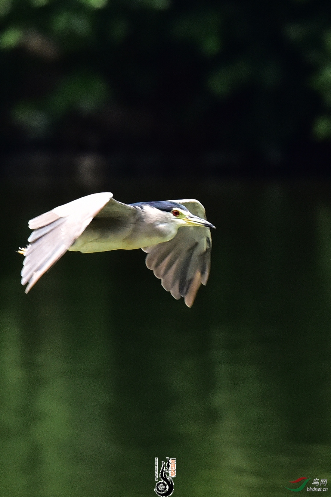 DSC_7879.JPG