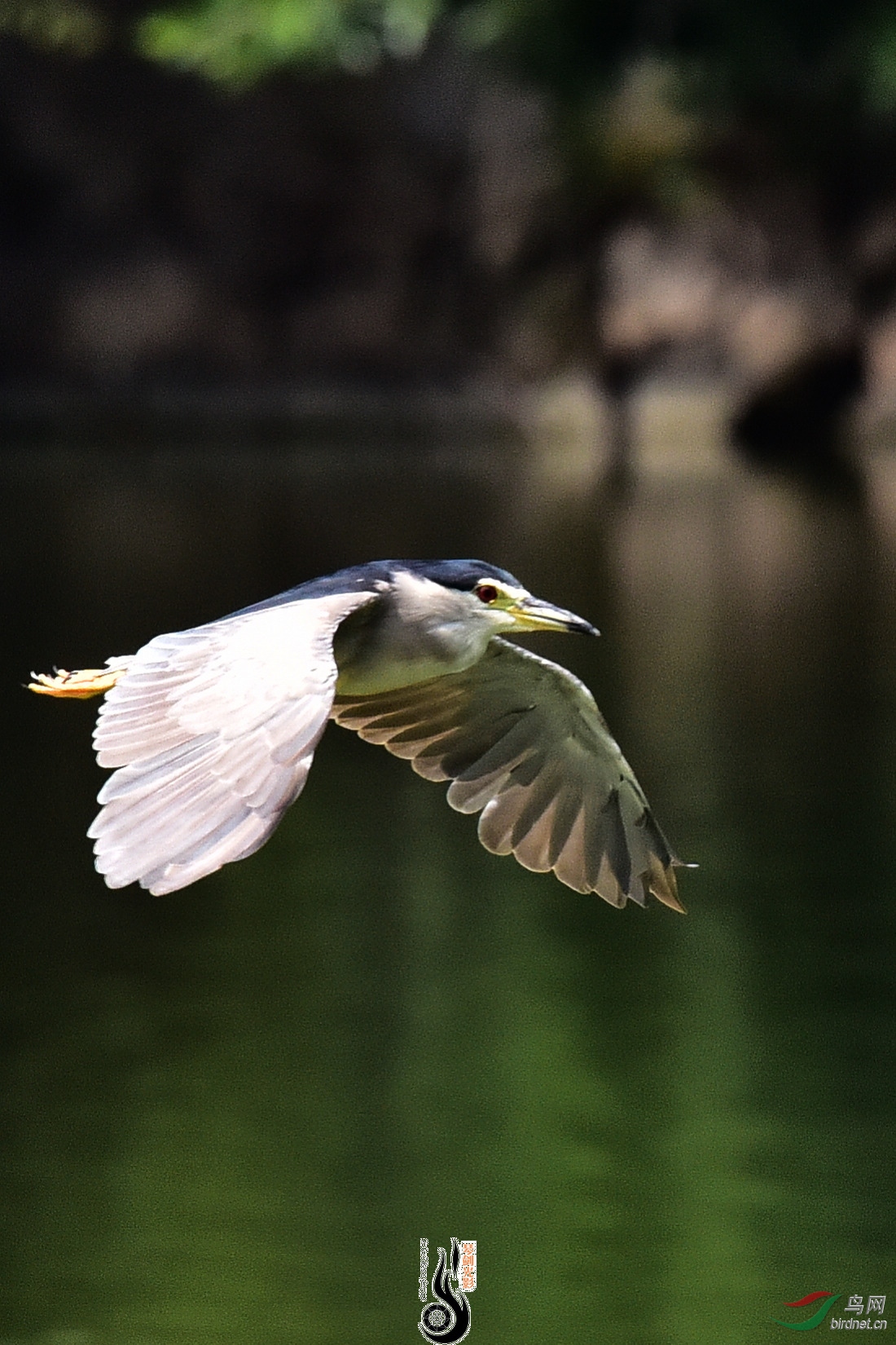 DSC_7880.JPG