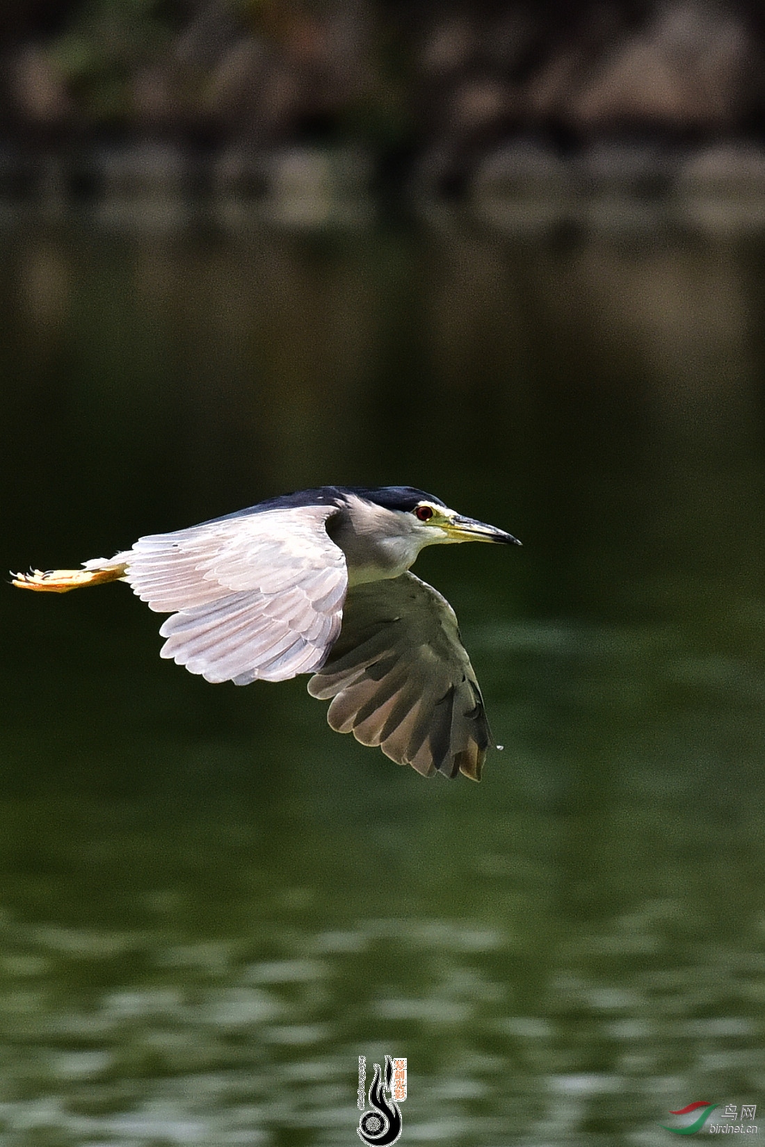 DSC_7883.JPG