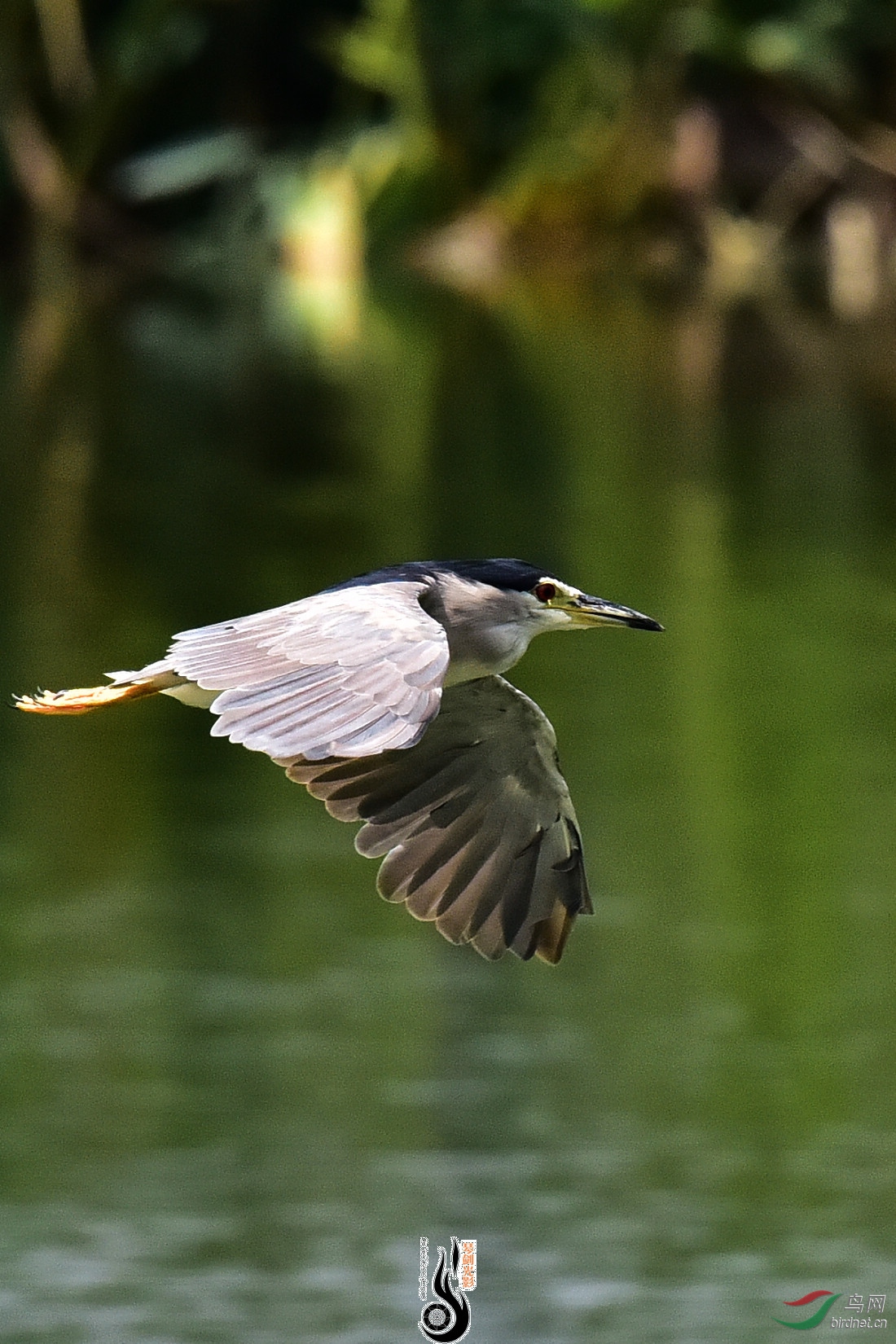 DSC_7884.JPG