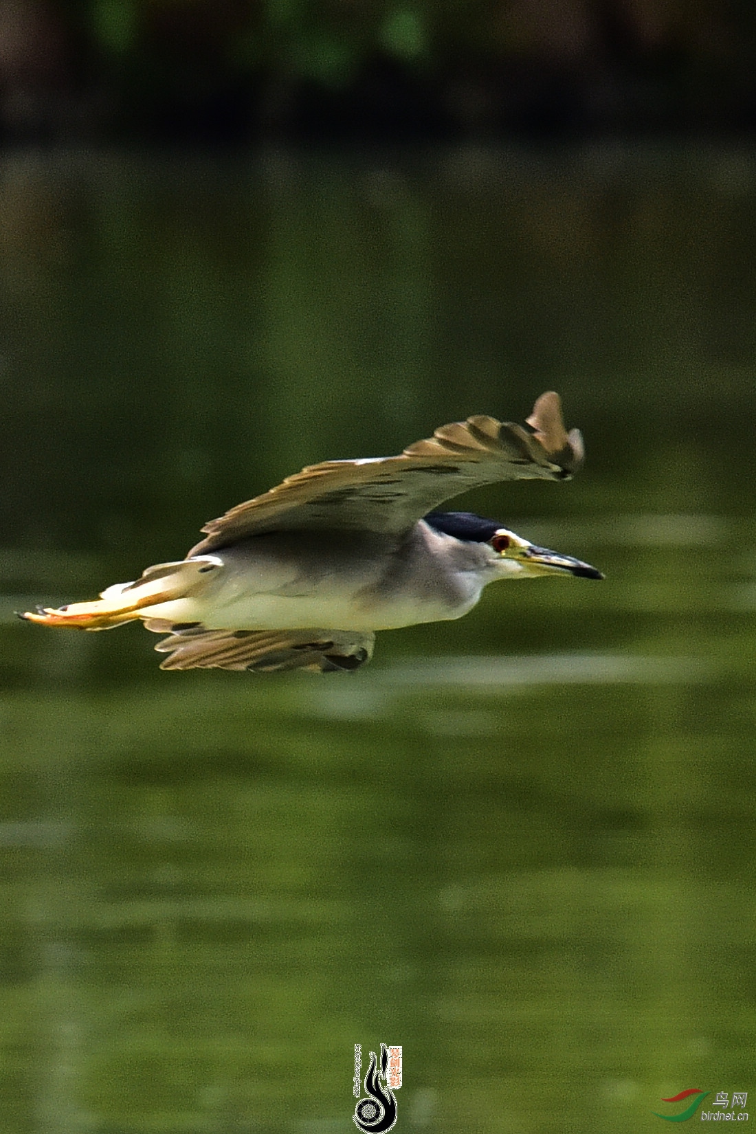 DSC_7886.JPG