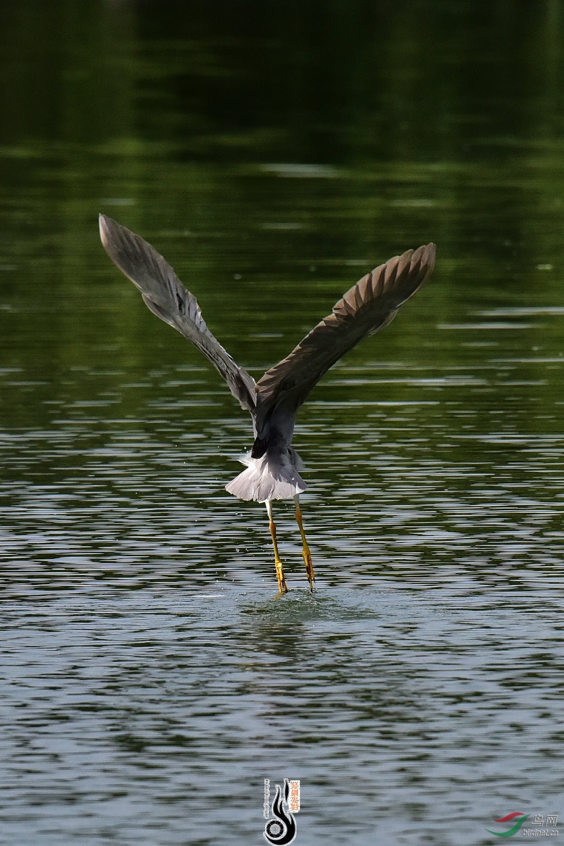 DSC_7890.JPG