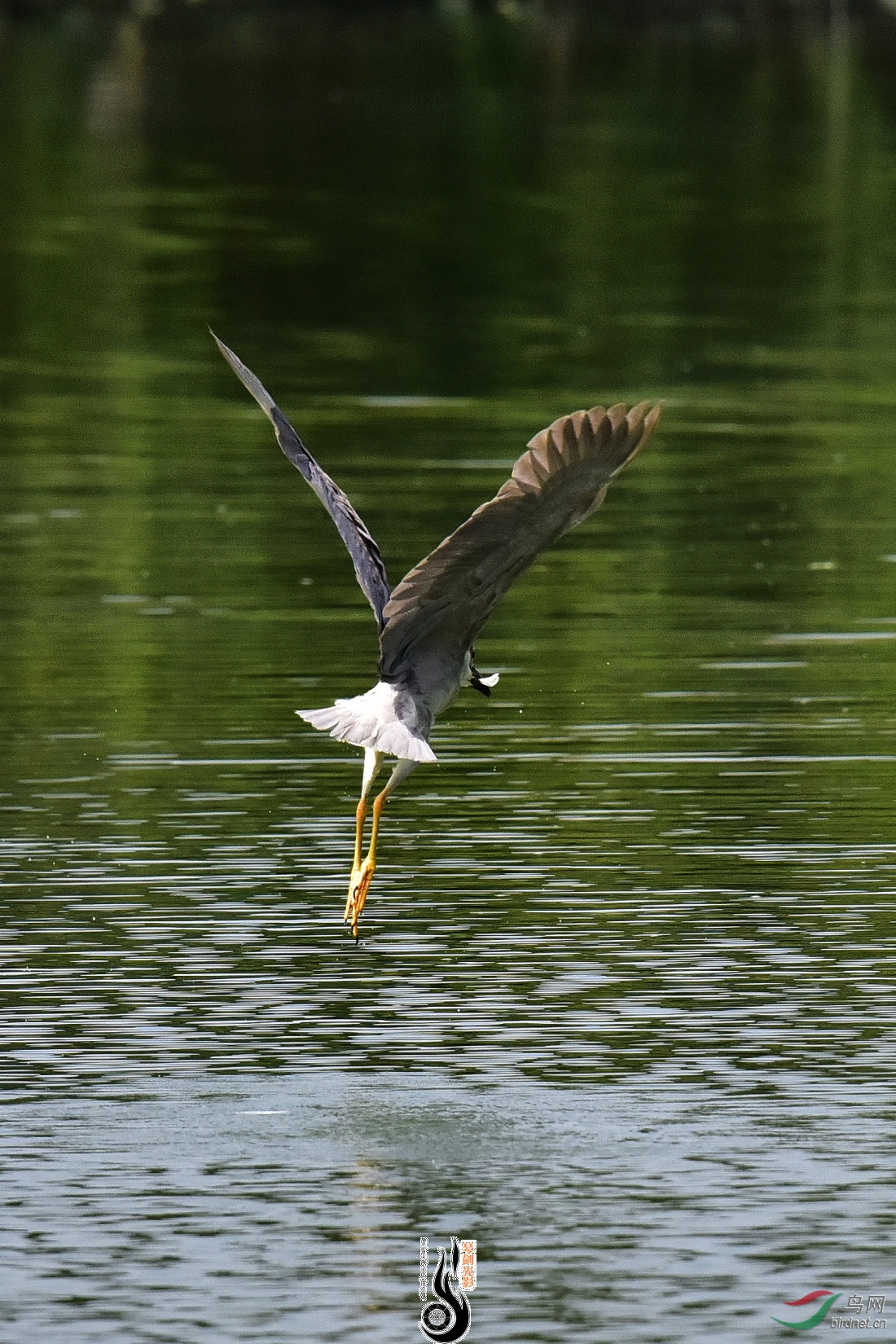 DSC_7891.JPG