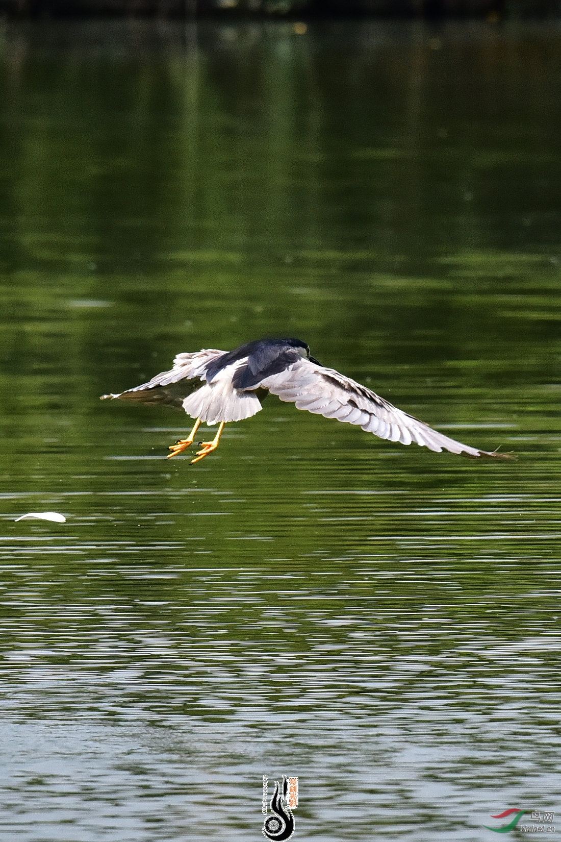 DSC_7893.JPG