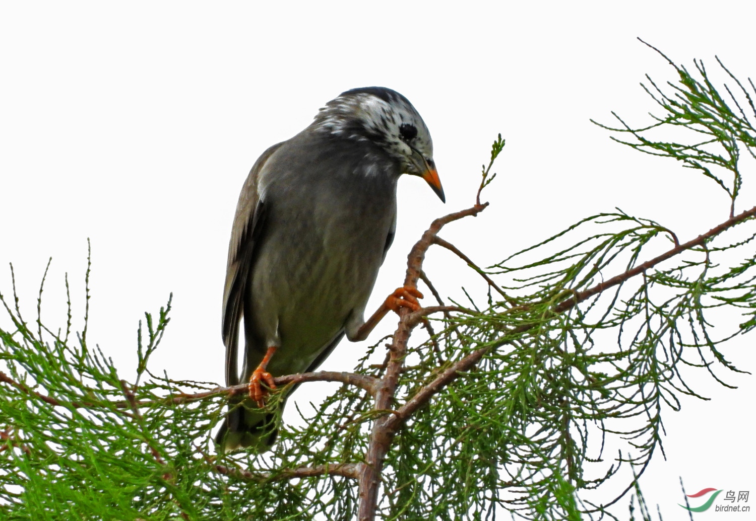 DSCN5468 ����2.jpg