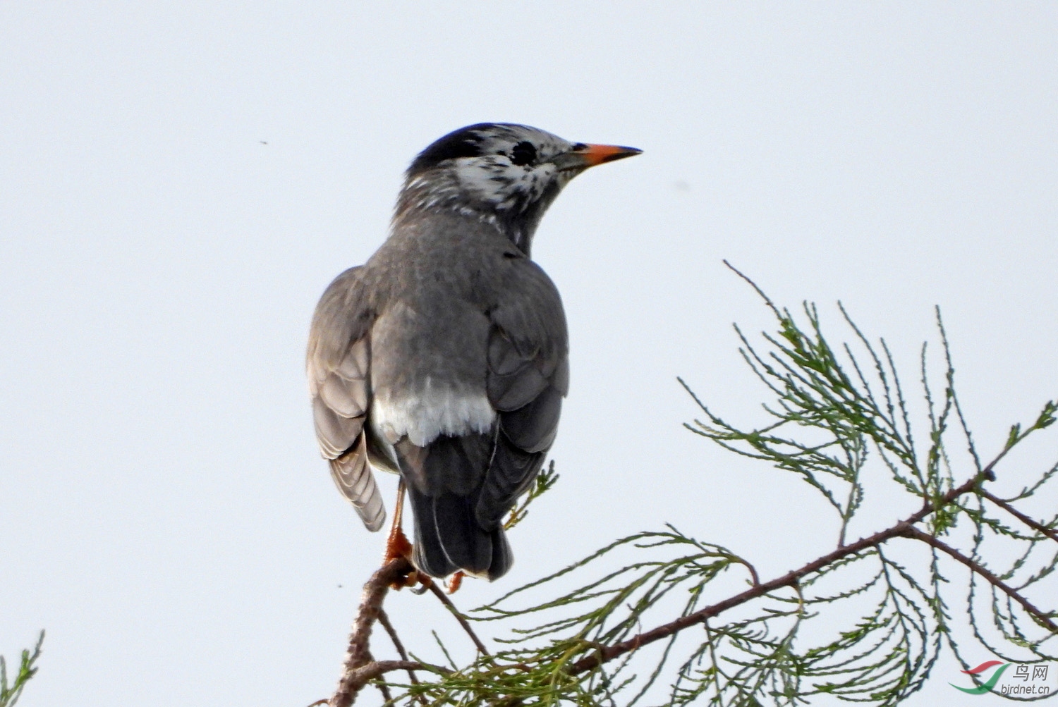 DSCN5472 ����2.jpg