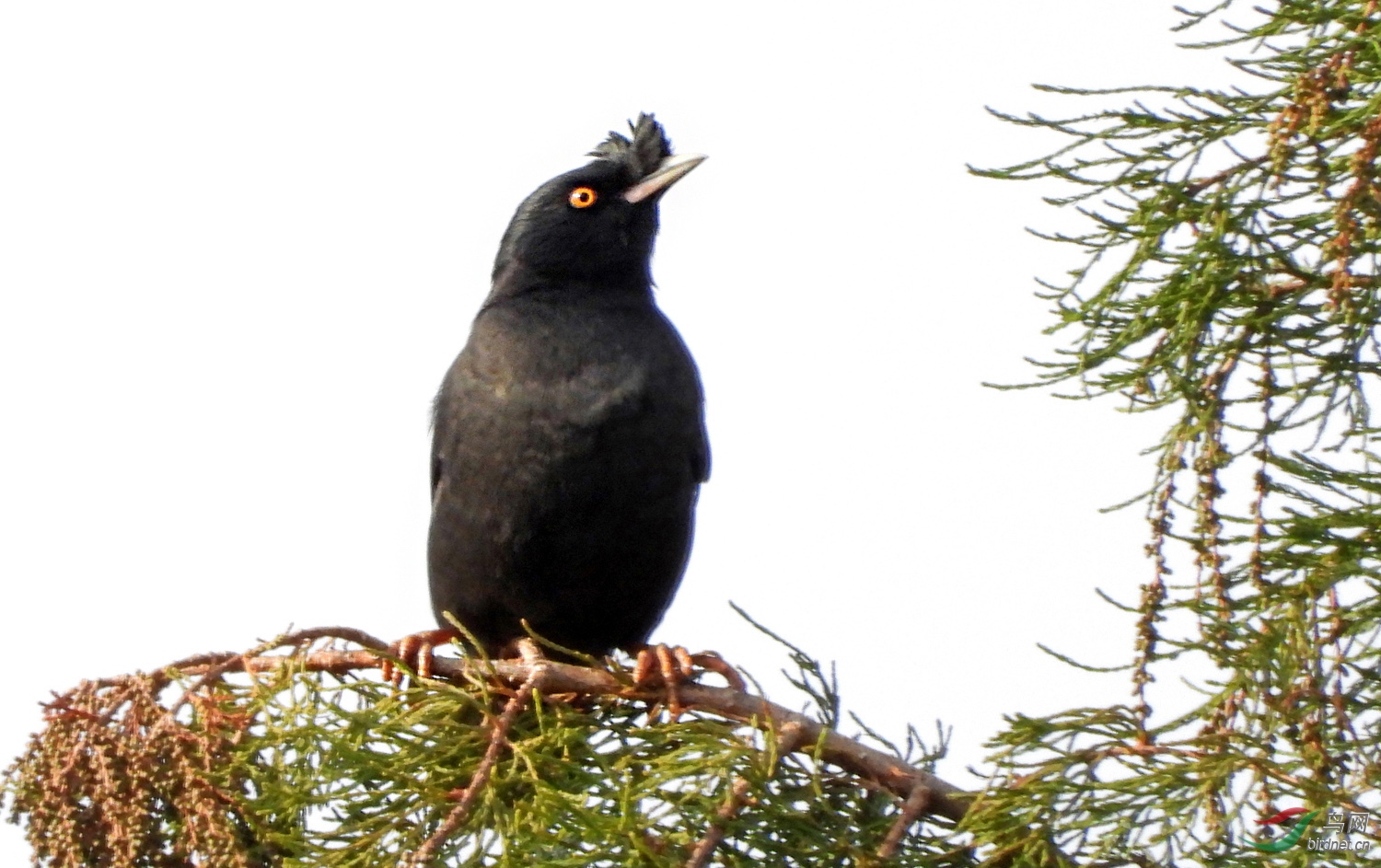 DSCN5475 ����2.jpg