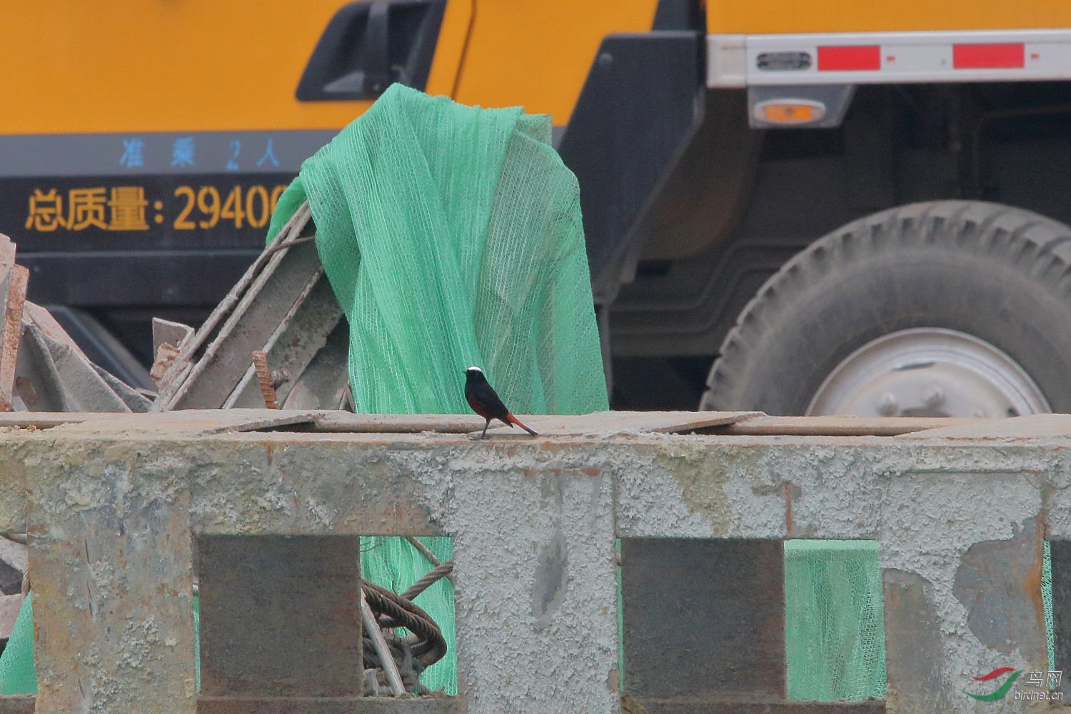 ���쵥��104��