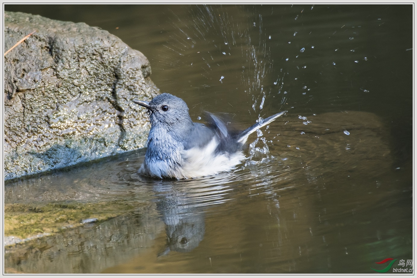 һ����ͷ10��