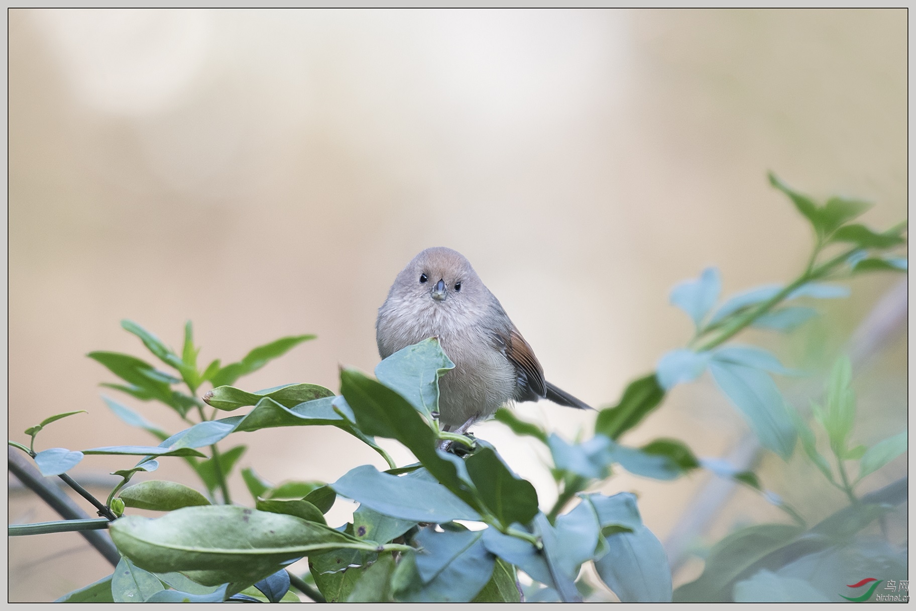 6���в���