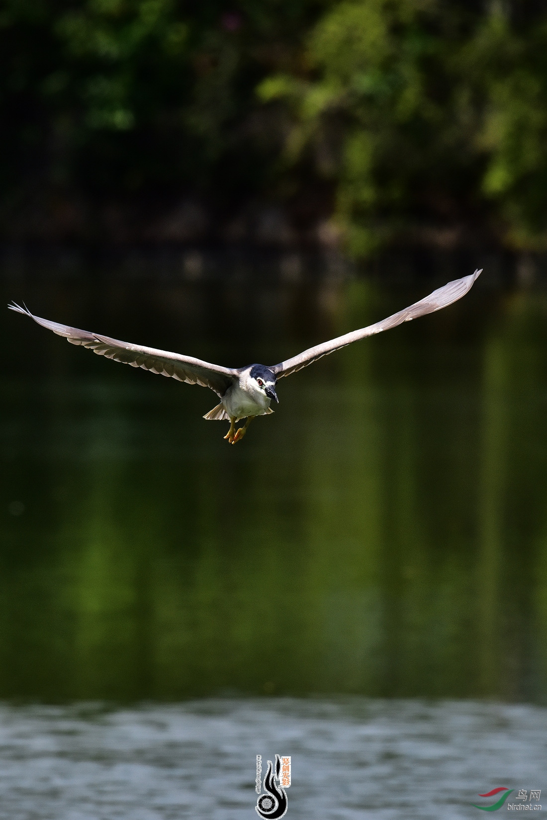 DSC_8090.JPG