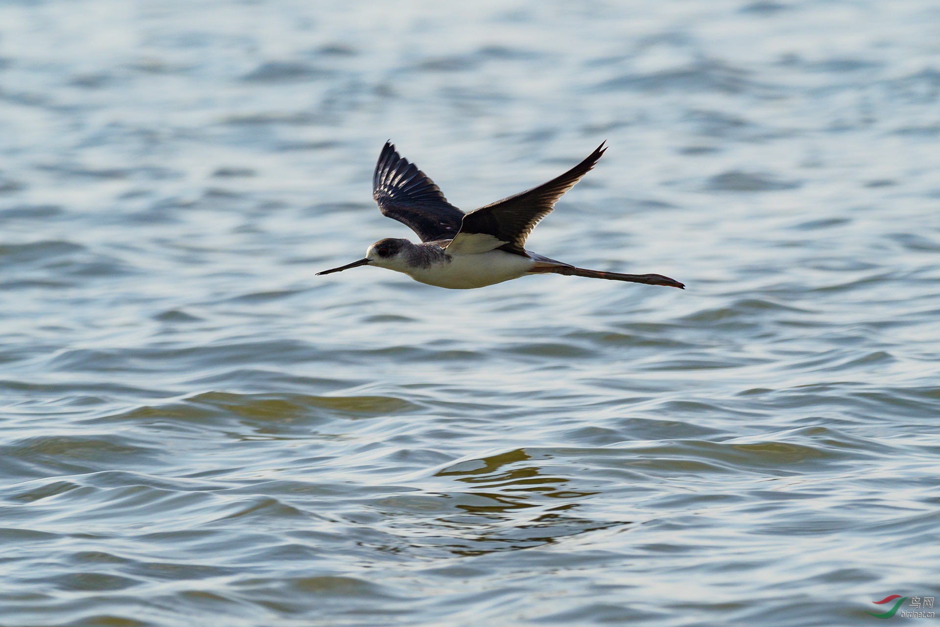 PB169451-ac.jpg