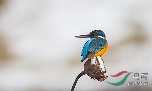 ET2W0867.jpg