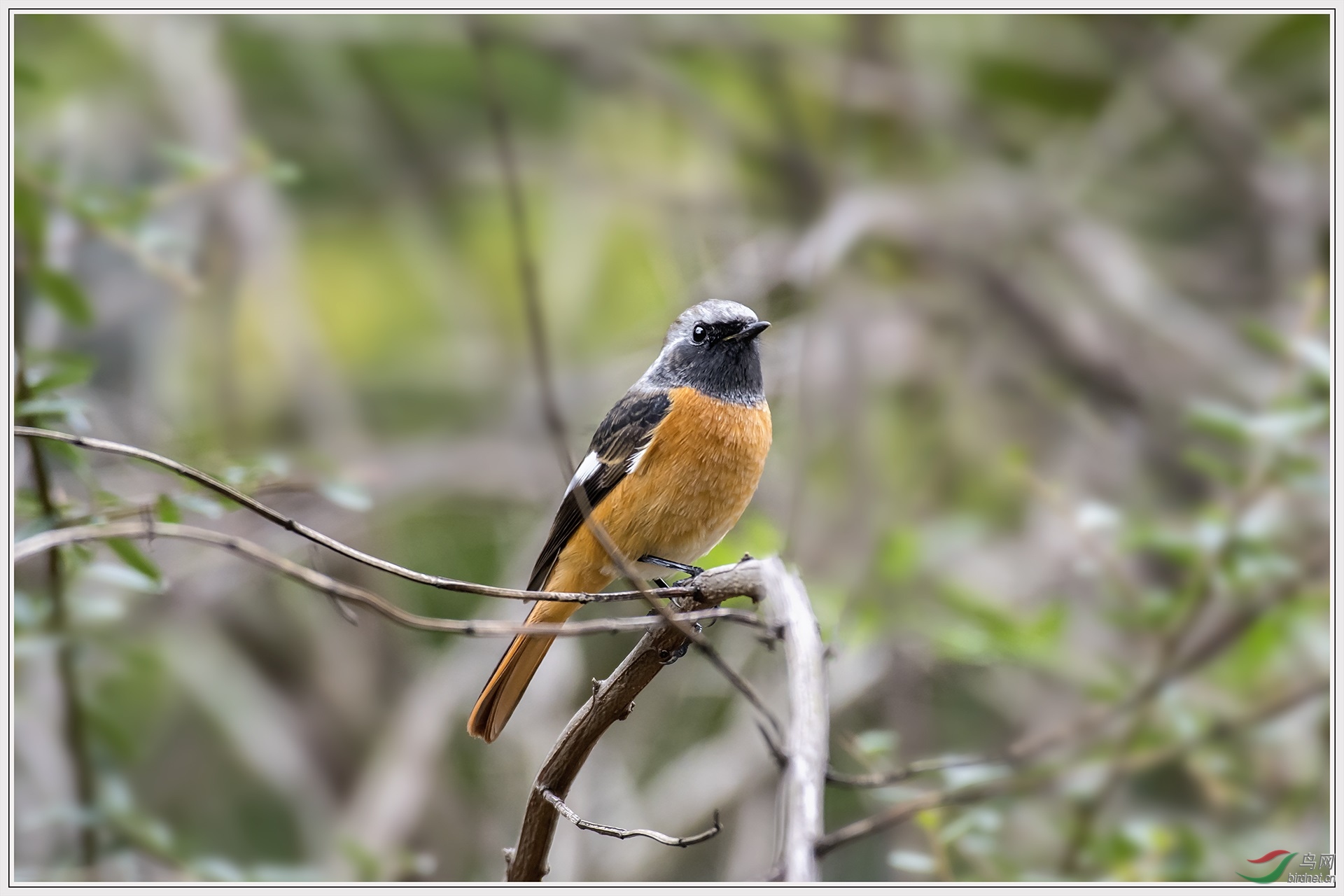 10��С������