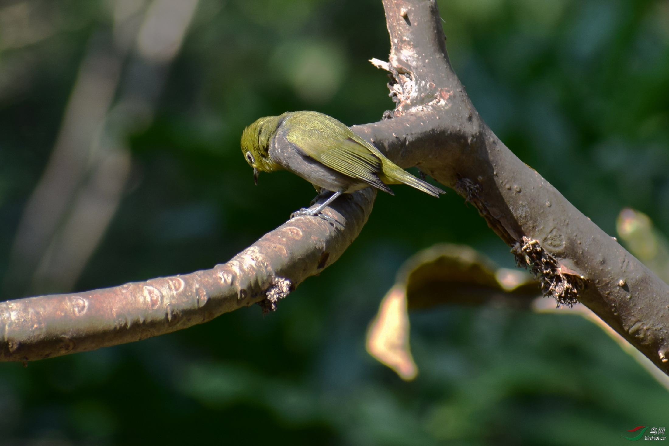 DSC_2924.JPG