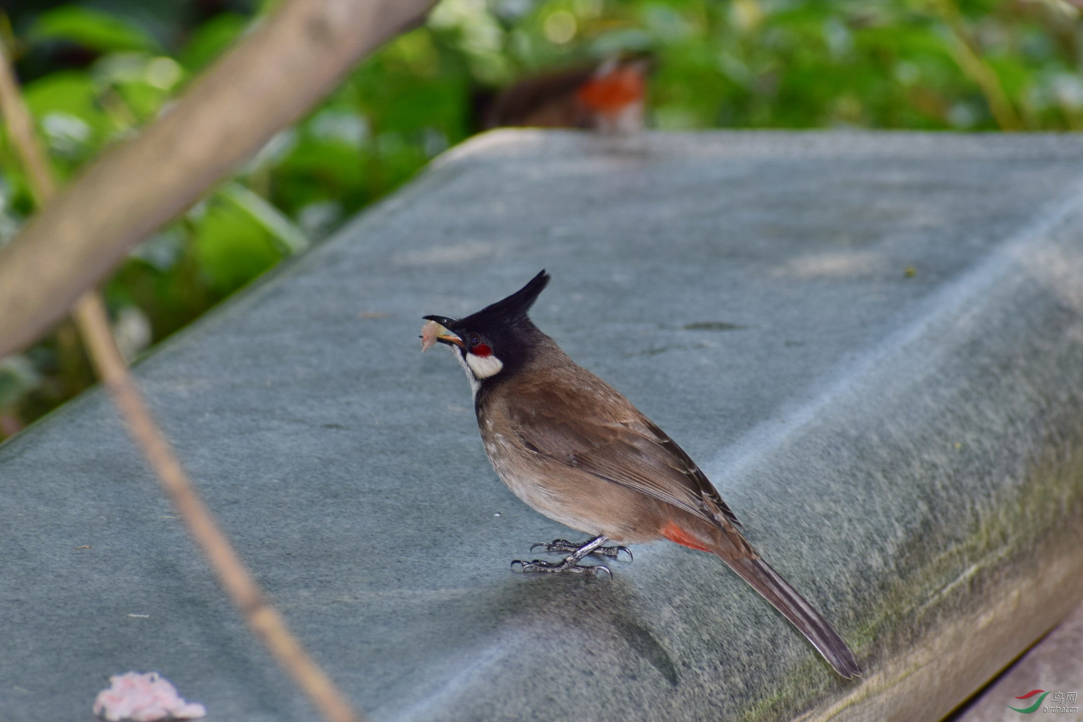 DSC_2947.JPG