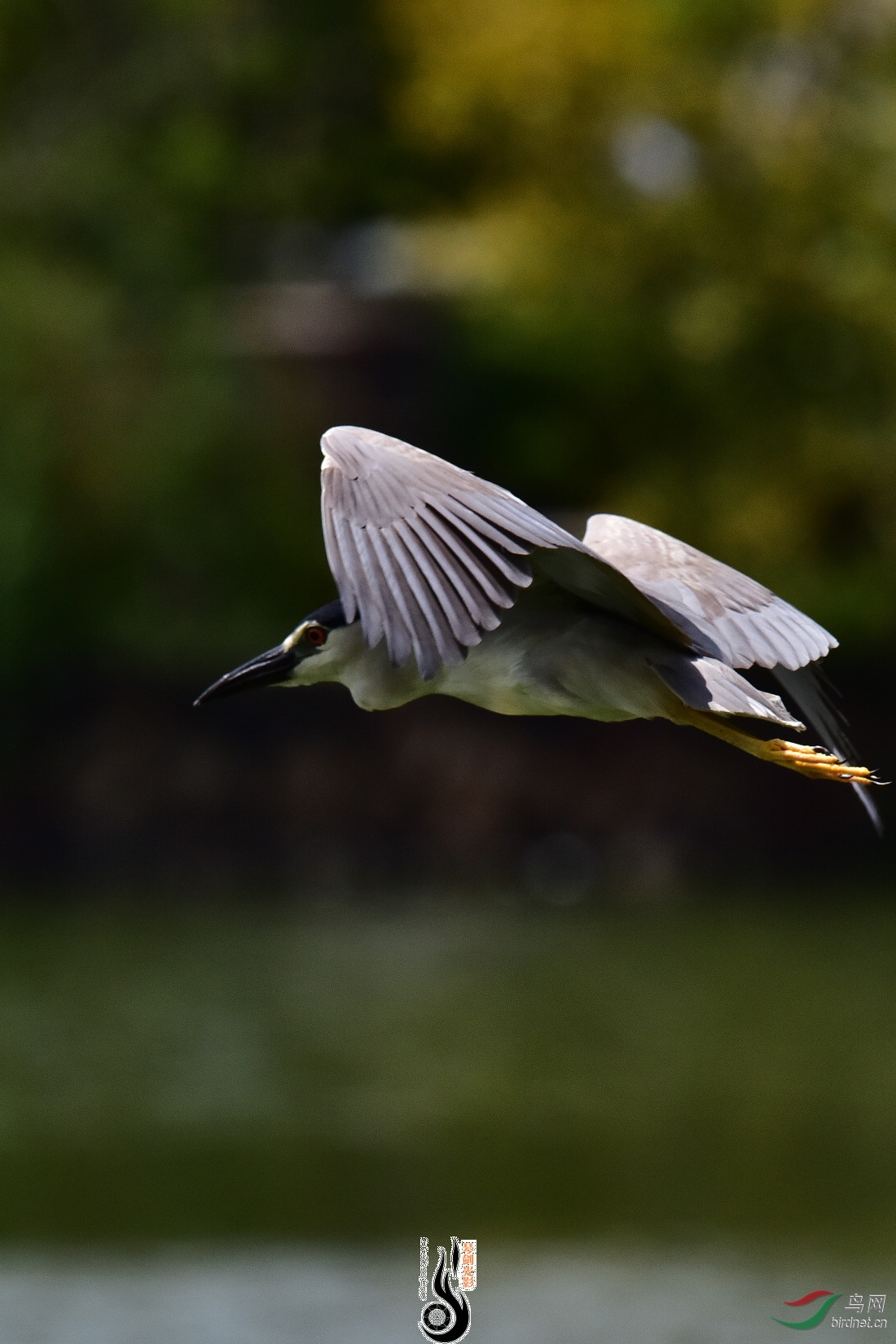 DSC_8101.JPG
