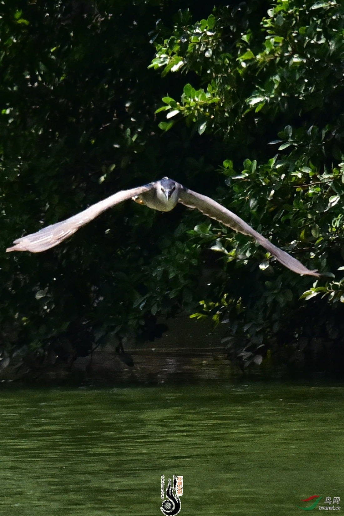 DSC_8118.JPG