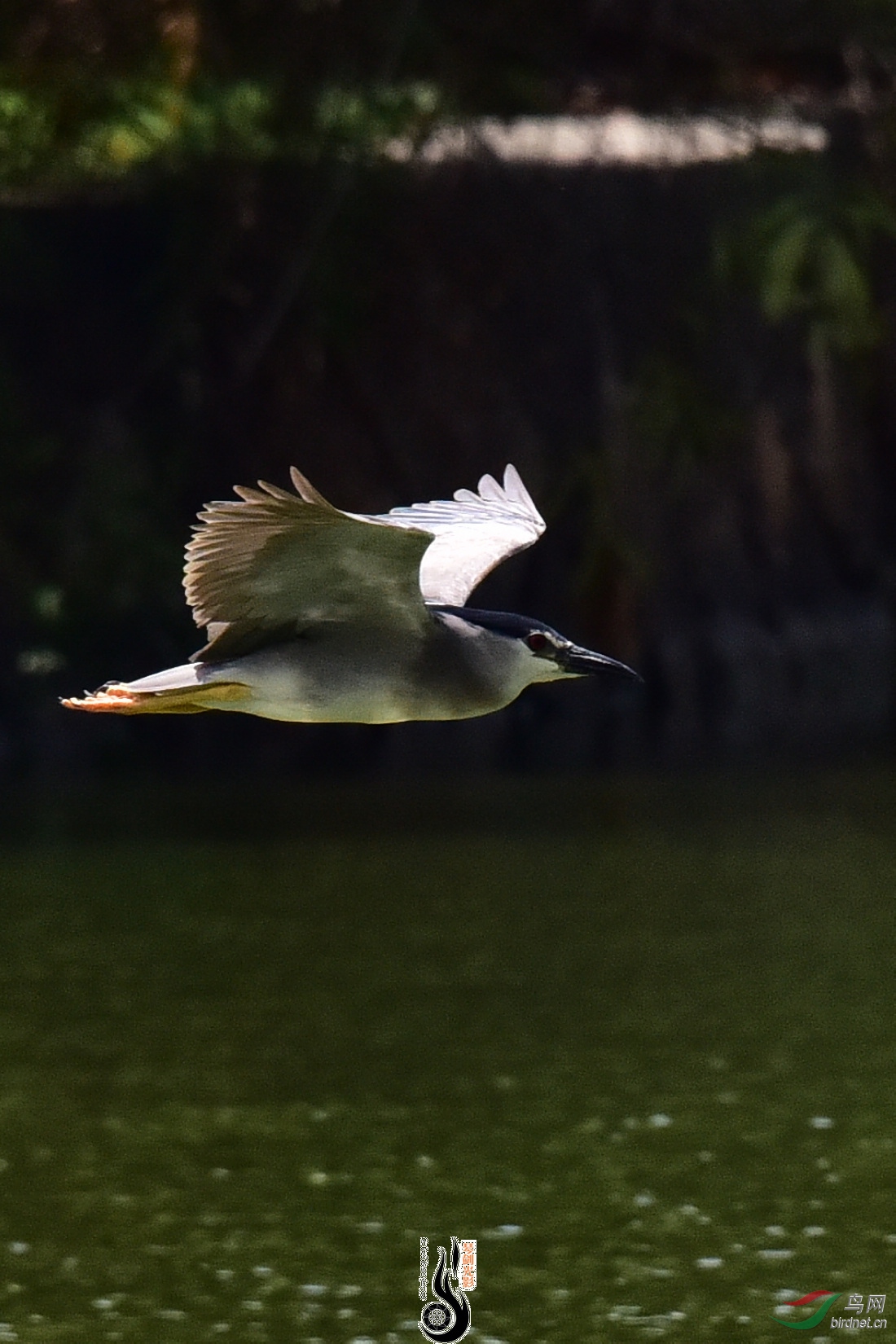 DSC_8127.JPG