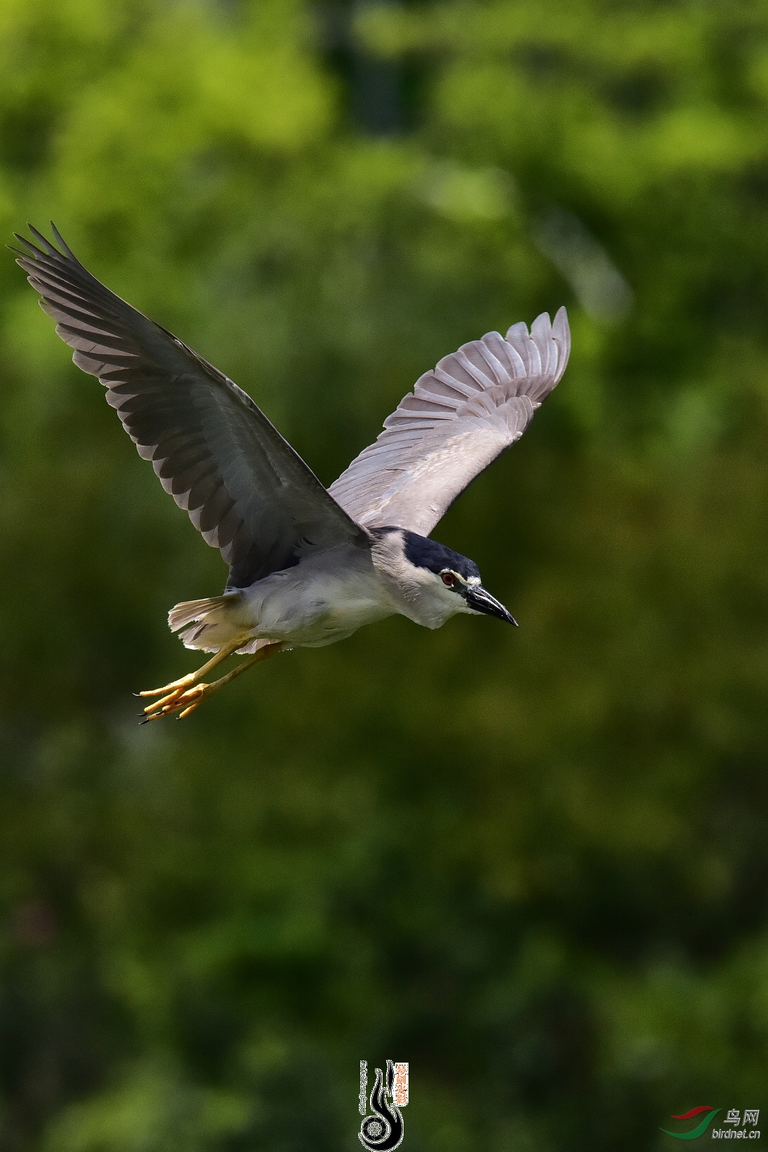 DSC_8135.JPG
