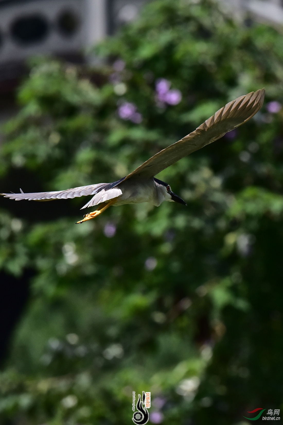 DSC_8138.JPG
