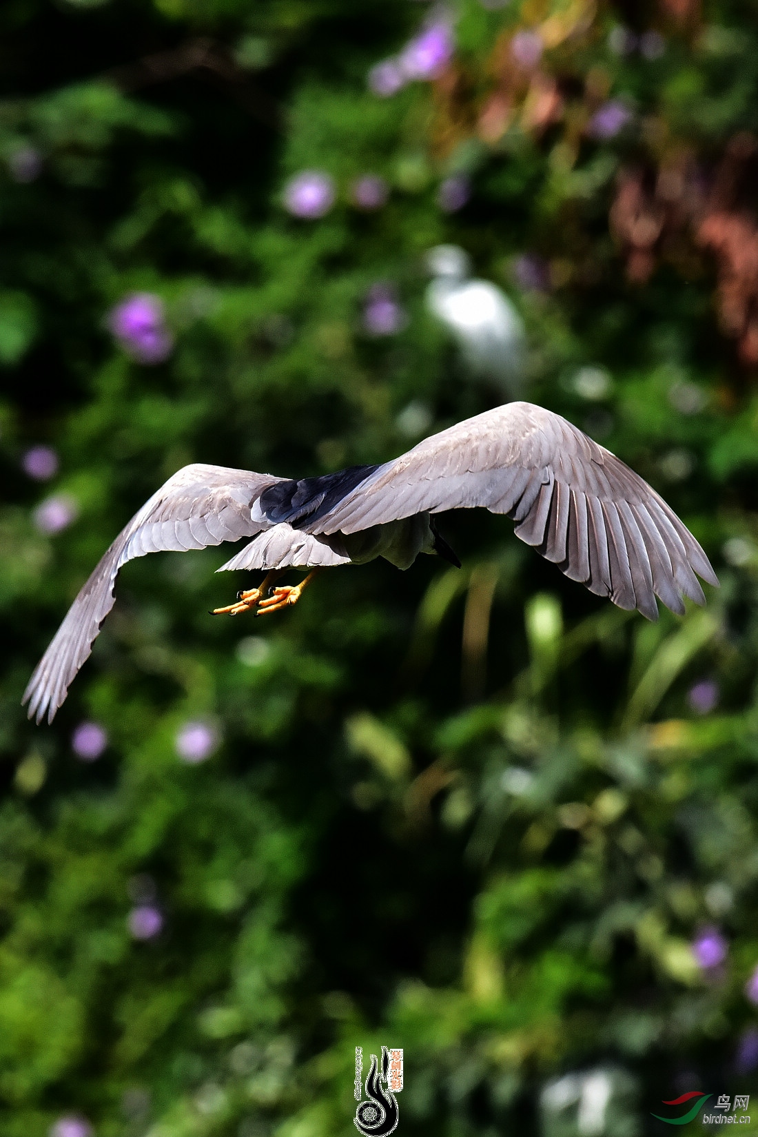 DSC_8139.JPG