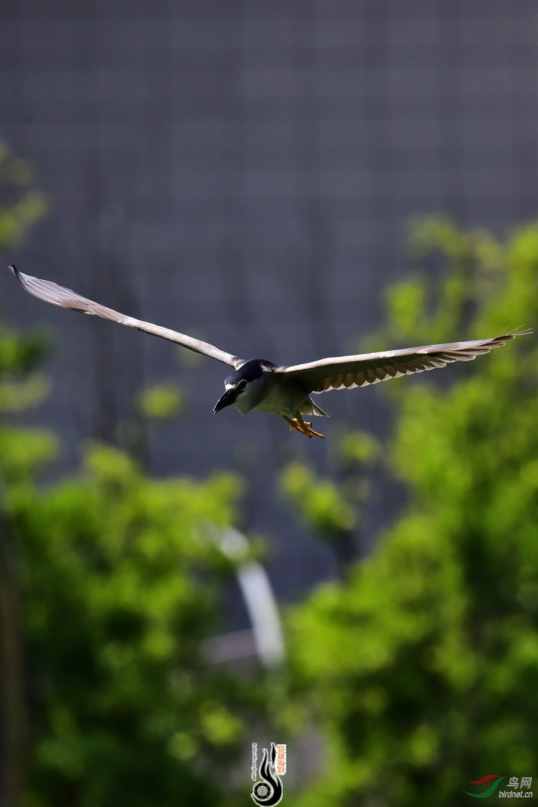 DSC_8141.JPG