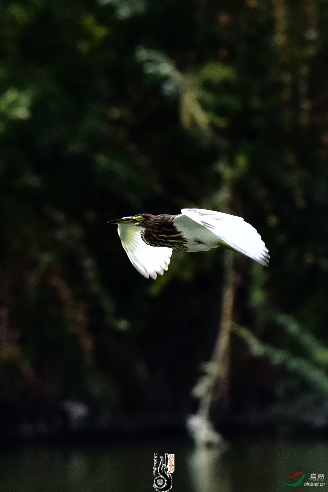 DSC_8142.JPG