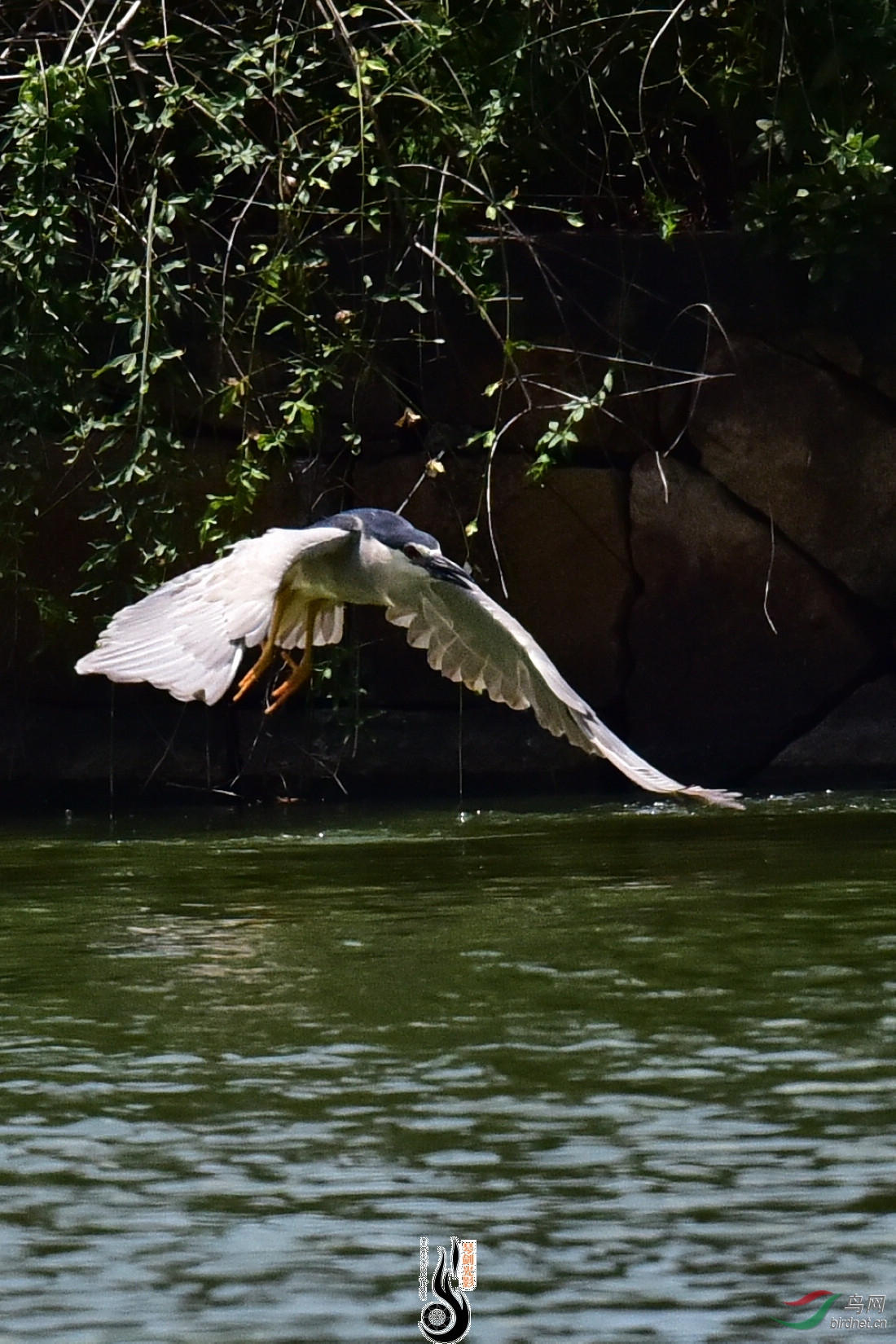 DSC_8145.JPG