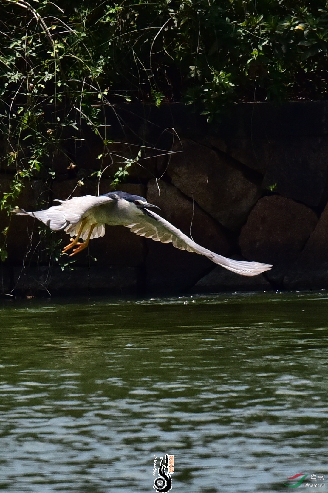 DSC_8146.JPG