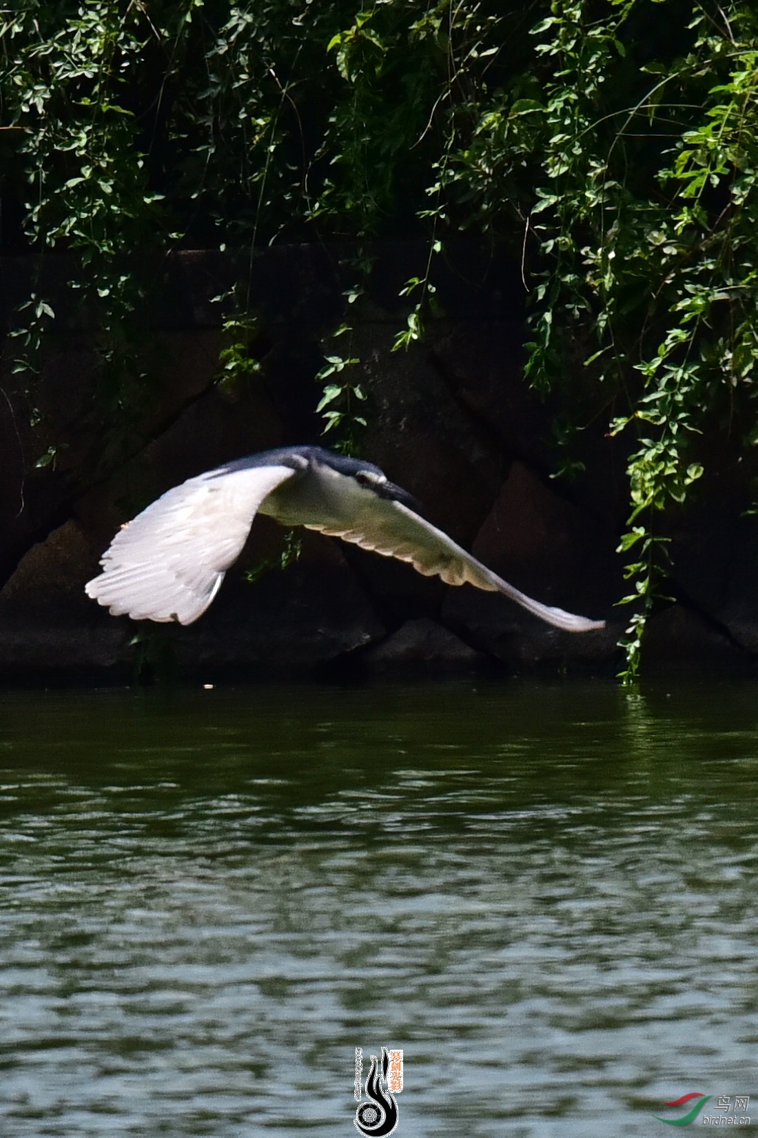 DSC_8148.JPG