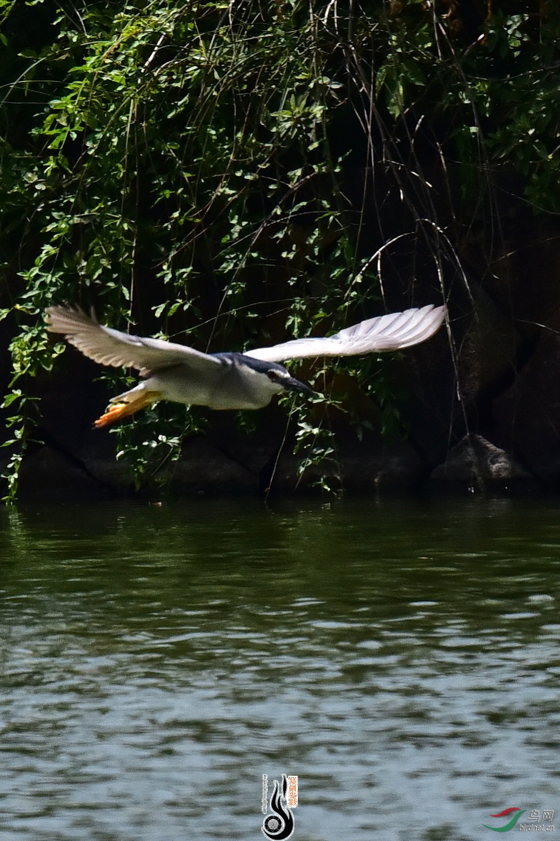 DSC_8149.JPG