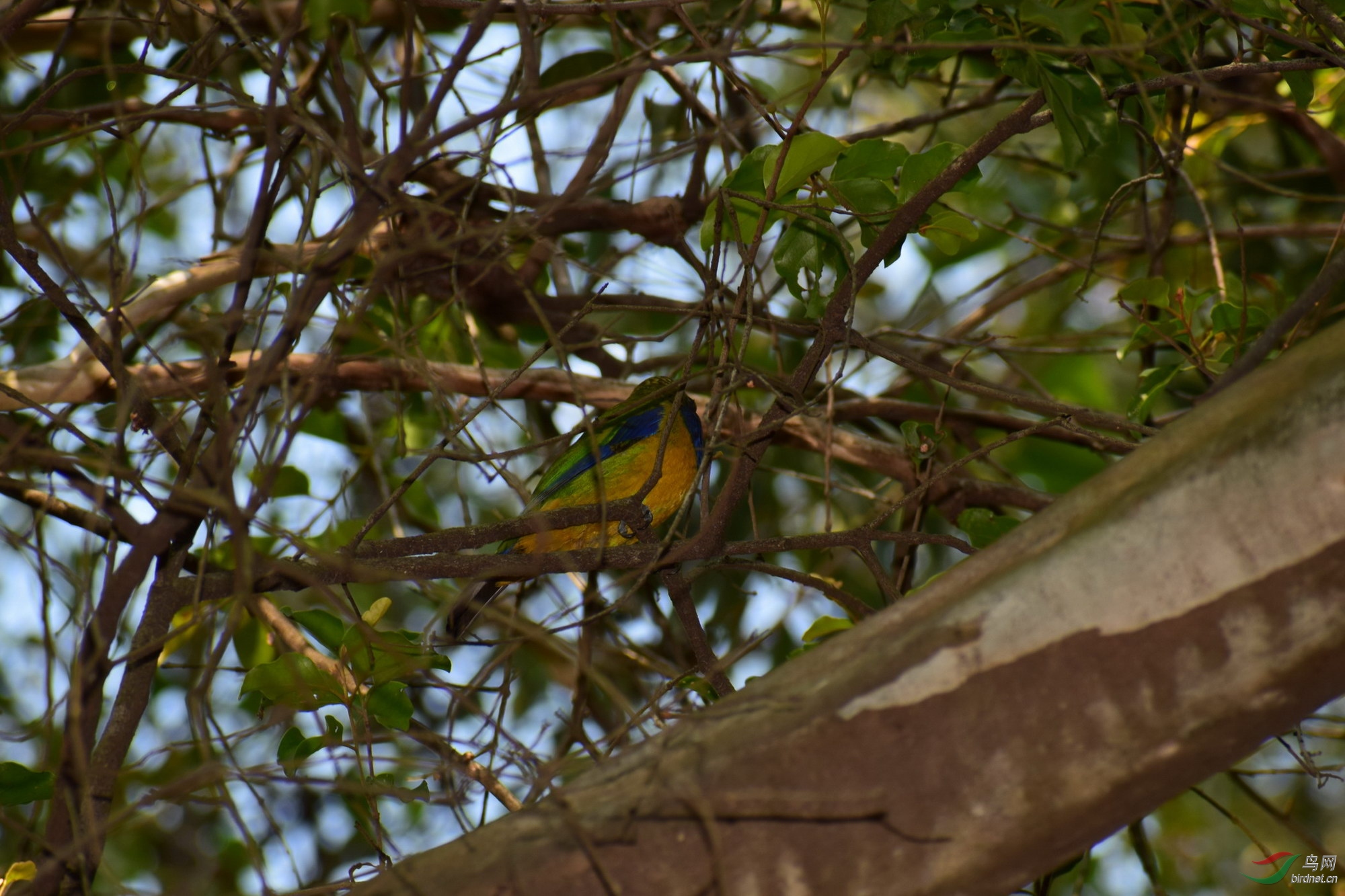 DSC_2962.JPG
