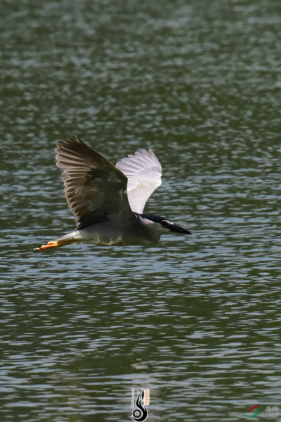 DSC_8167.JPG