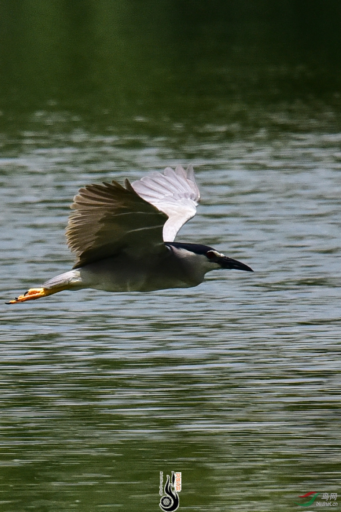 DSC_8171.JPG