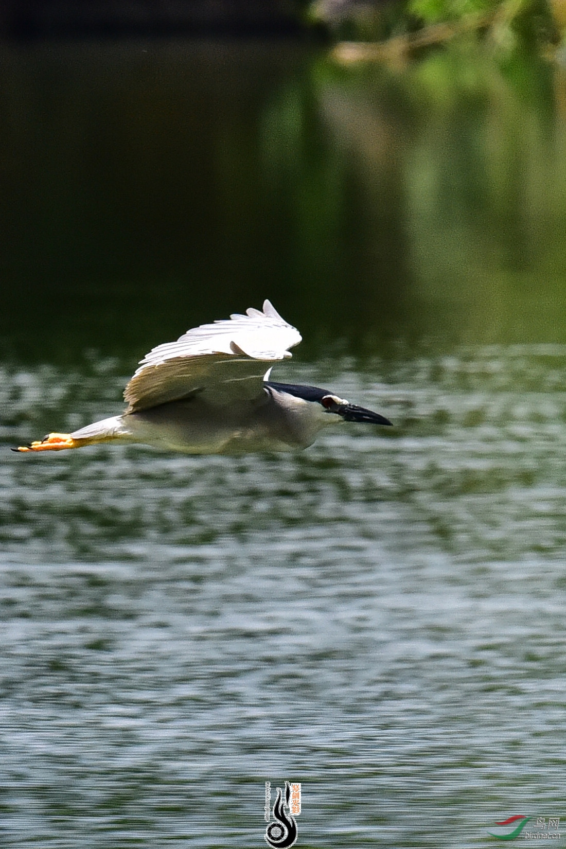 DSC_8176.JPG