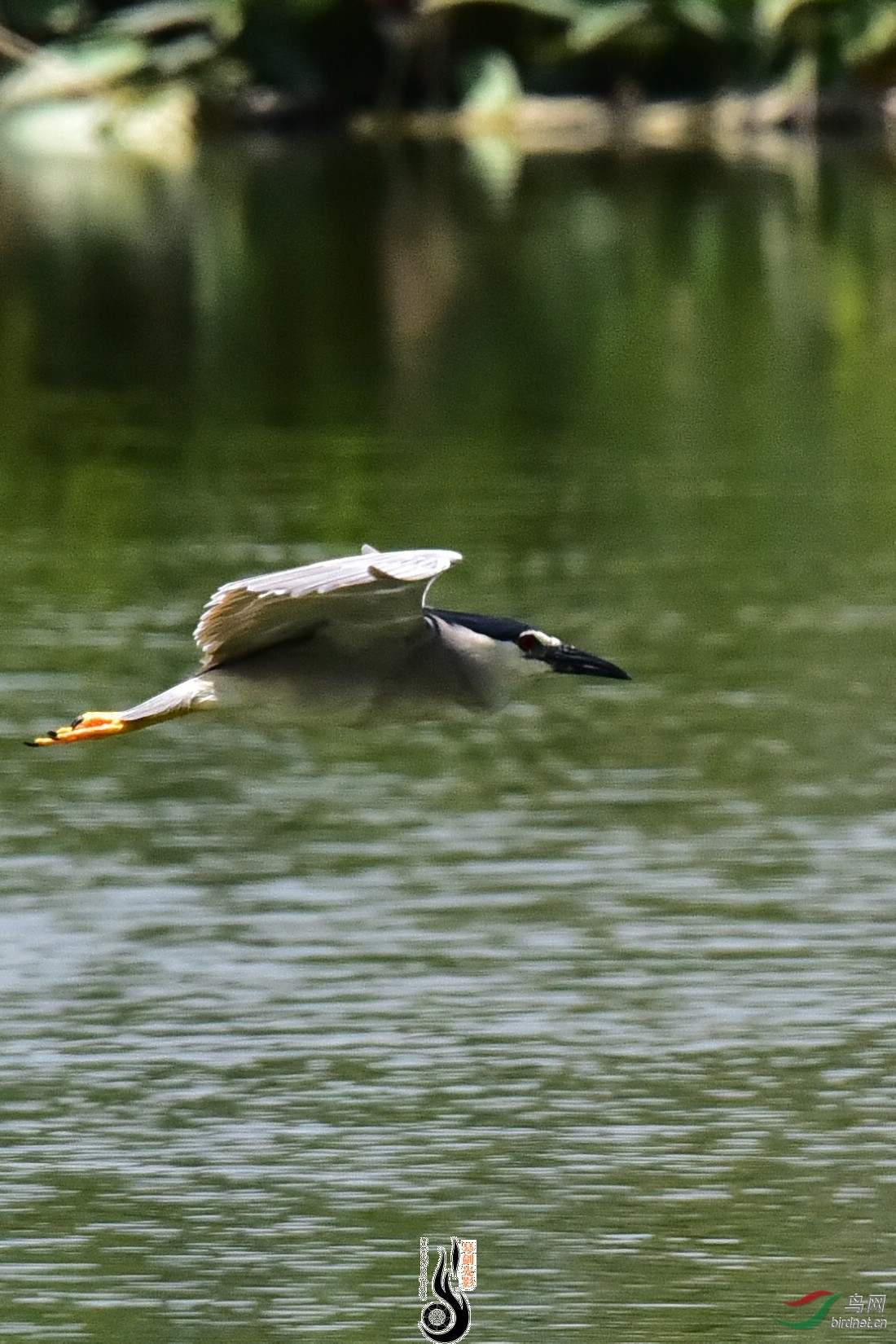 DSC_8177.JPG