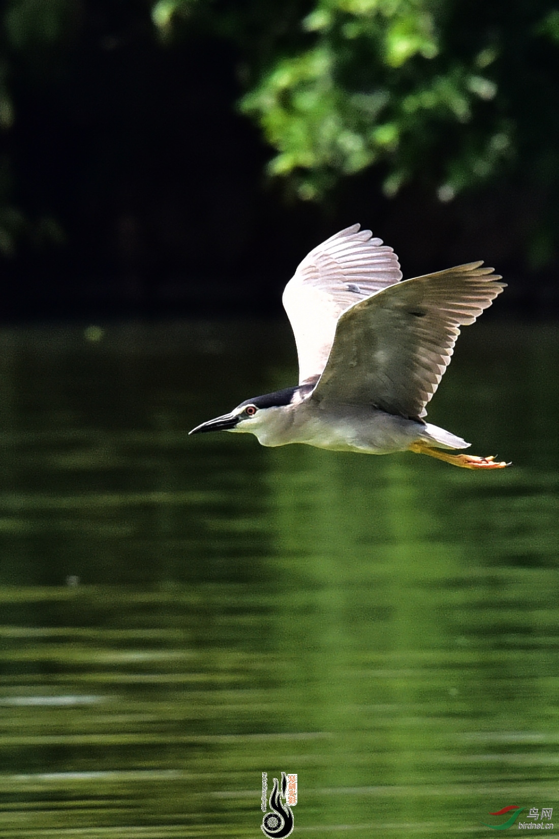DSC_8223.JPG