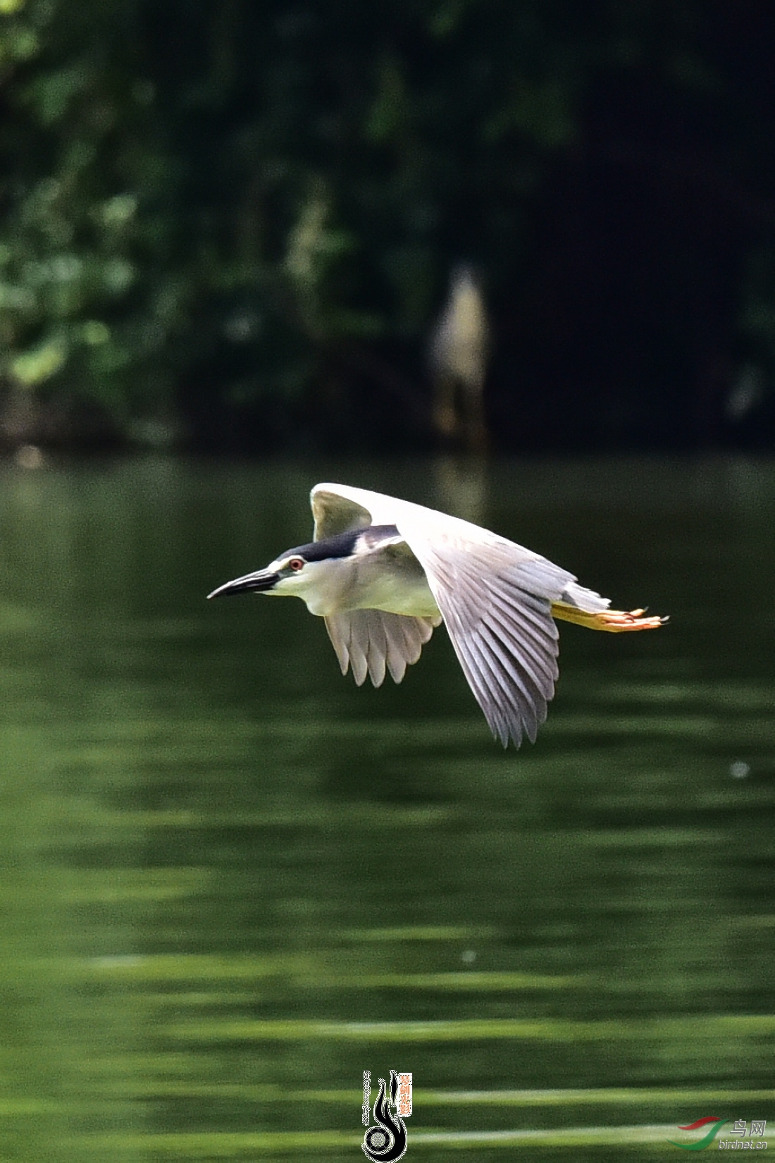 DSC_8224.JPG