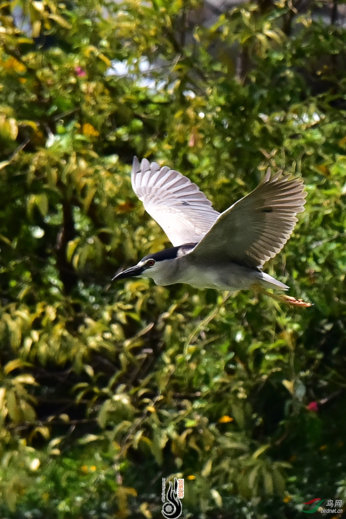 DSC_8229.JPG