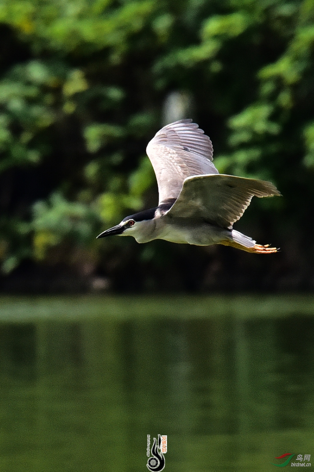 DSC_8233.JPG