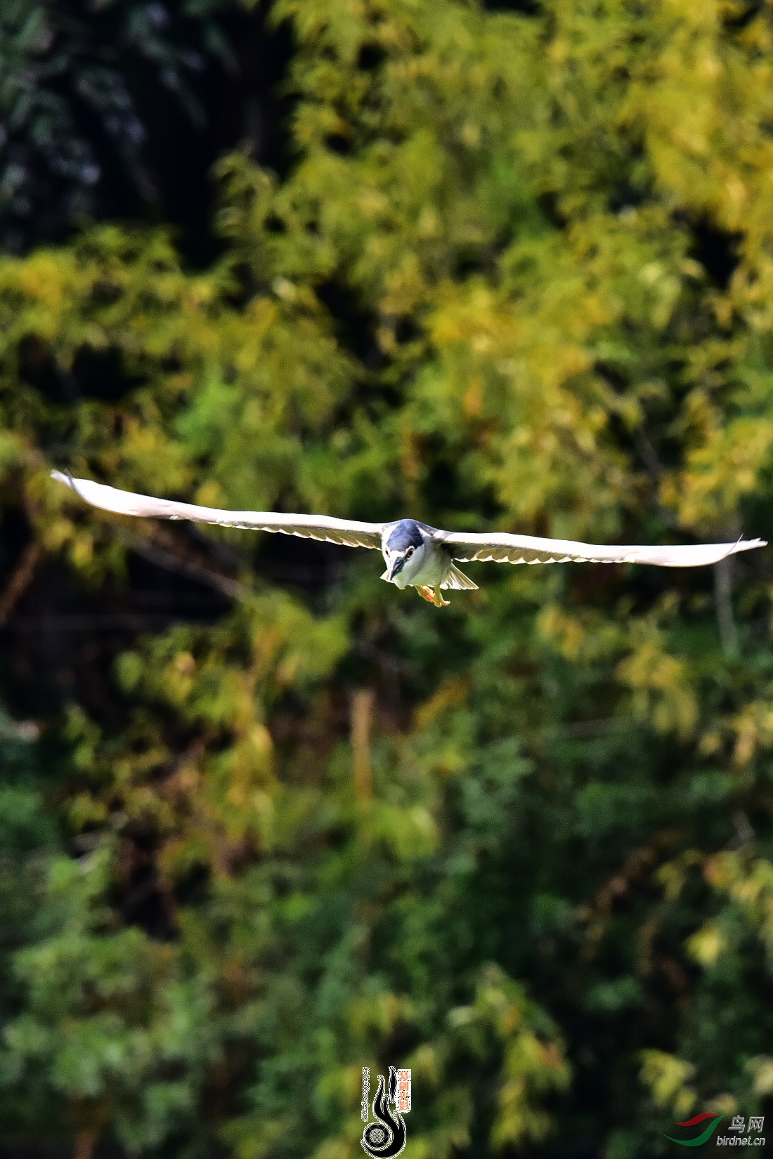 DSC_8239.JPG