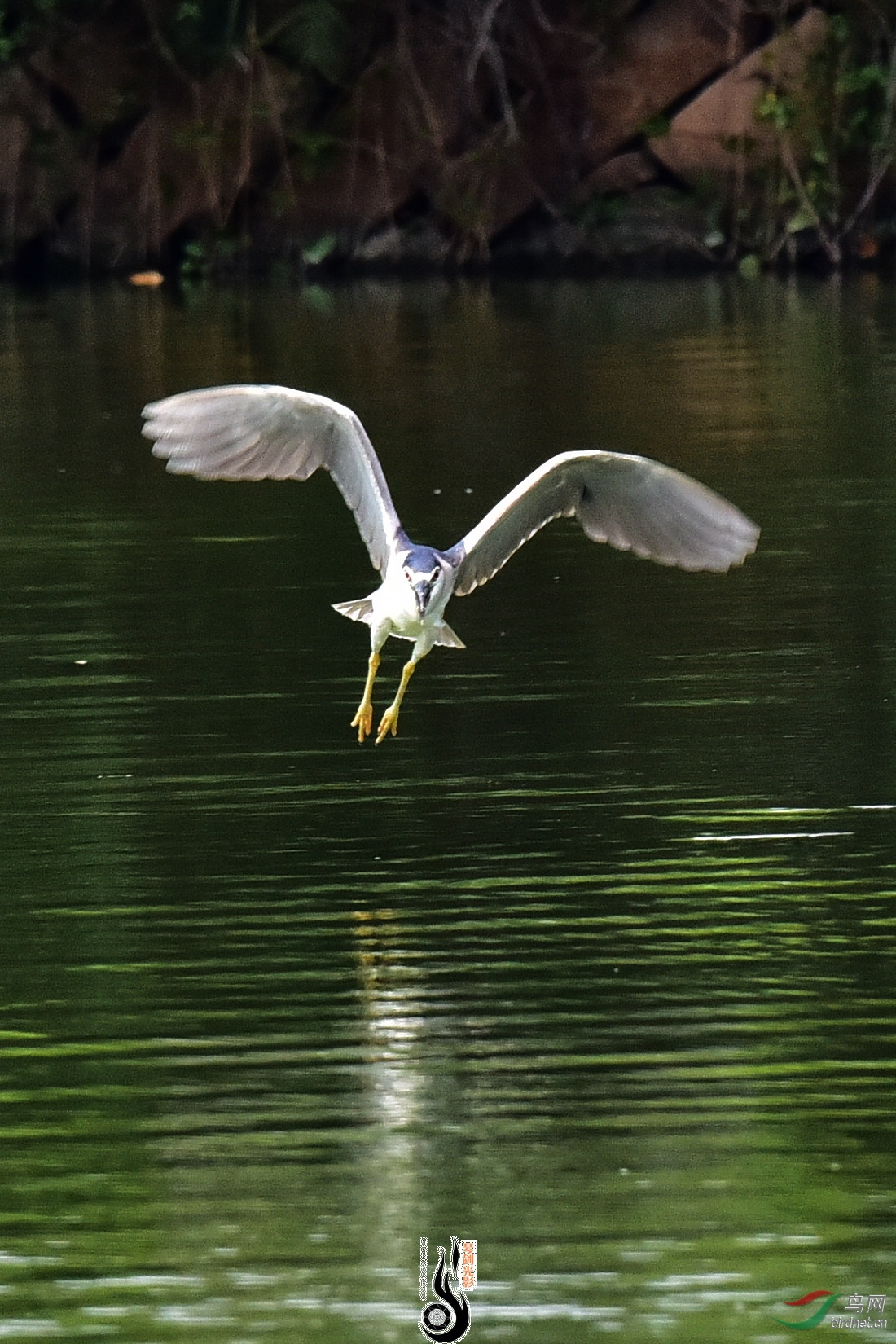 DSC_8254.JPG