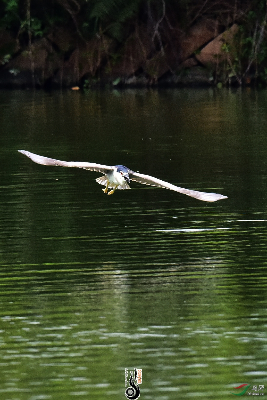 DSC_8255.JPG