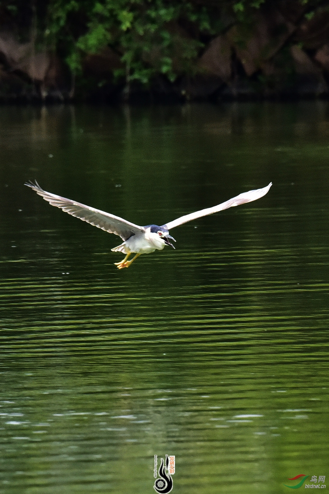 DSC_8258.JPG